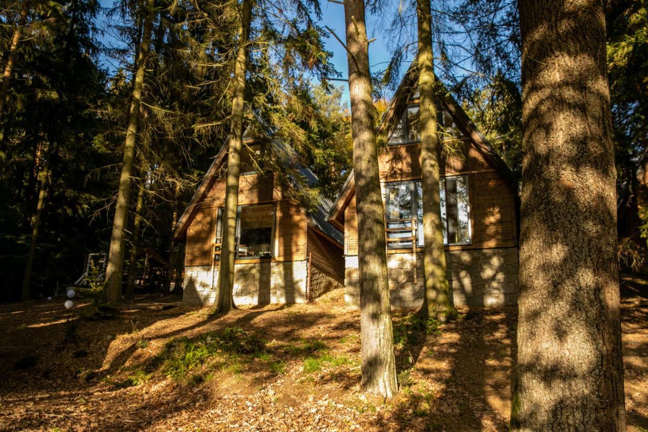 Hotel Kouty Ledeč nad Sázavou Екстериор снимка