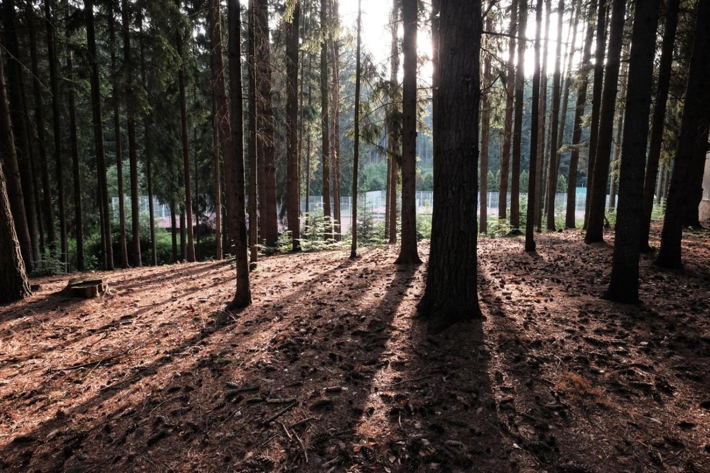 Hotel Kouty Ledeč nad Sázavou Екстериор снимка